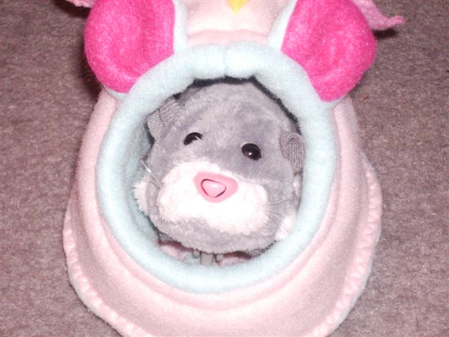 Mini Mousey/Hammy